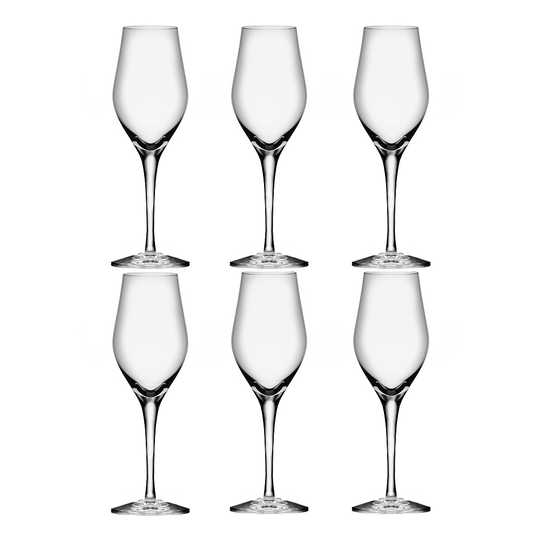 Orrefors - Sense Champagneglas 25,5 cl 6-pack