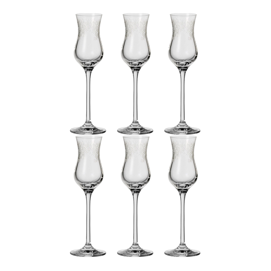 Leonardo - Chateau Grappaglas 9 cl 6-pack