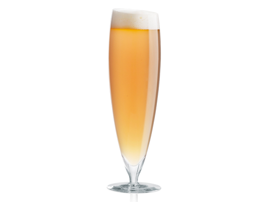 Ölglas Eva Solo Large 2-pack