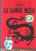 Lotus bleu